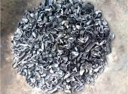 花生全身都是宝,丢在盆里,解决了太多养花难题!