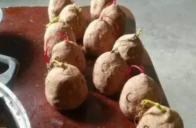 爆炸钩钓鲤鱼,一天十条大家伙绰绰有余,钓鱼钓到手发软