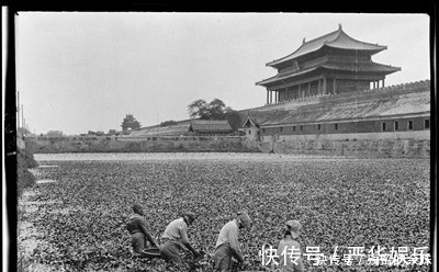 北京建筑设计院|70年前故宫到处是垃圾，杂草丛生，从故宫清理出垃圾就高达25吨