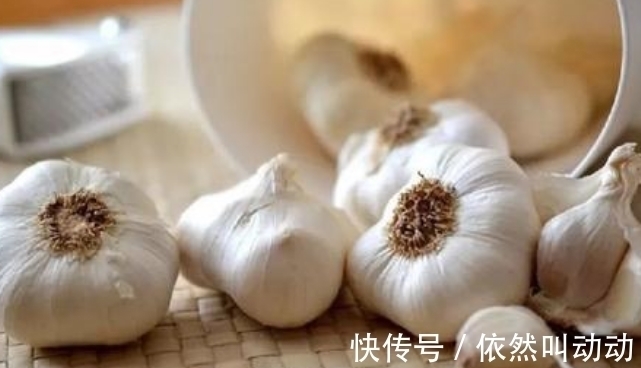 蚊子|原来小小的蚊子最害怕这几件事情,一起进来看看就知道了!收藏!