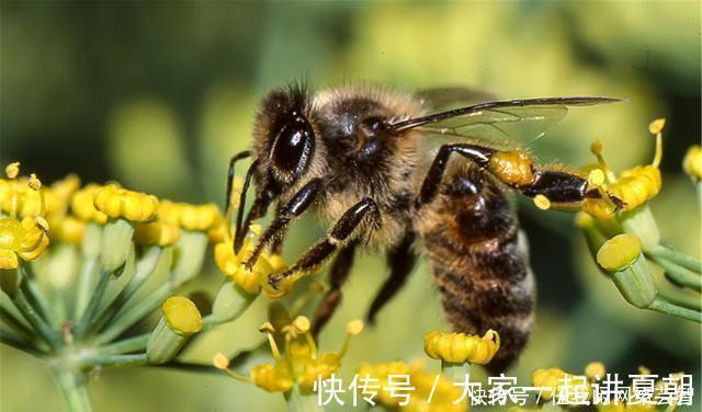 台州电视台|成功抗癌30年，病痛的磨难，失去的丈夫的伤痛，她是如何挺来的