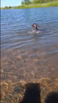 |搞笑GIF:有个这样的女友 肯定连五十都活不到