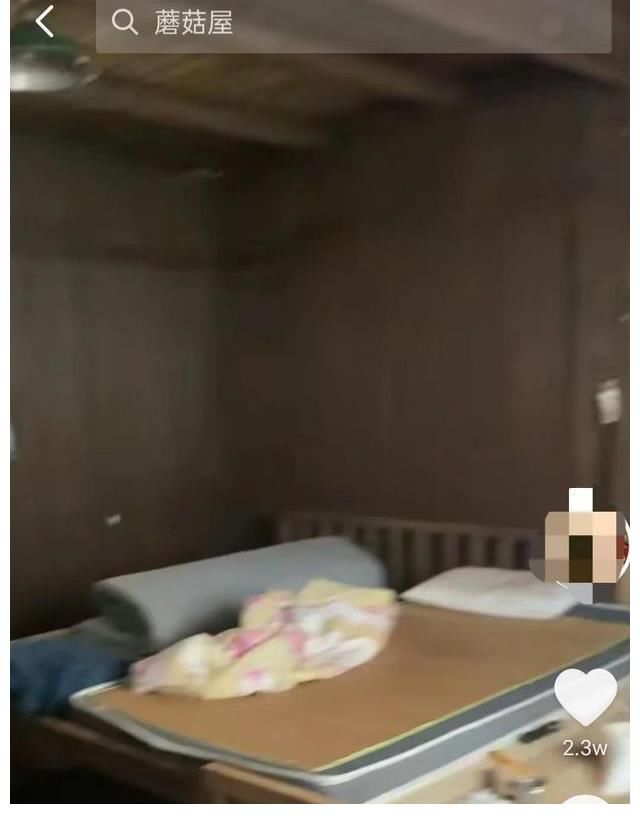 向往的生活|《向往的生活5》錄制地點(diǎn)現(xiàn)狀，圖書館無人管理，蘑菇屋一片狼藉