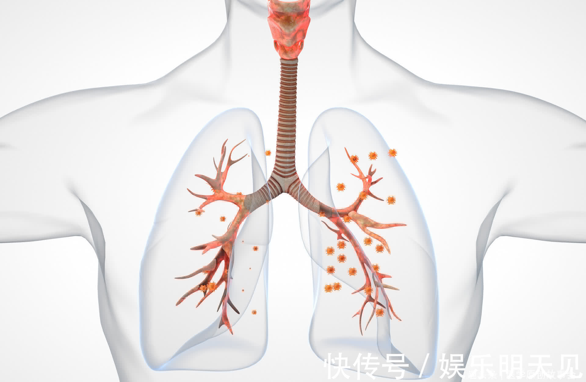 夏女士|38岁患癌，从化疗到死亡仅半年，肿瘤科医生忠告，四类人不能化疗