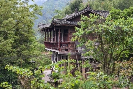 神秘的|峨眉山外 普贤寺有两条神秘的“低头龙”