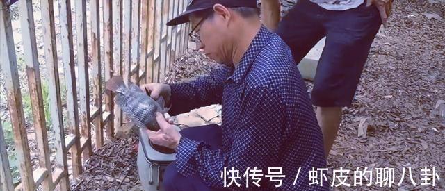 越南|在中国境内钓越南鱼,广西东兴俩男子玩出了新花样,神一样的存在