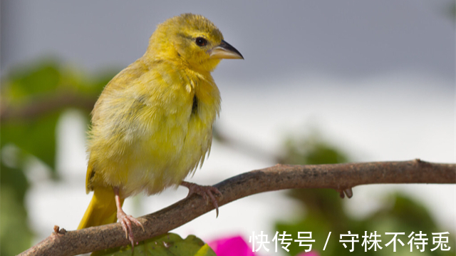 22个冷知识：看起来好像有点大病，但也经得住推敲的有趣知识