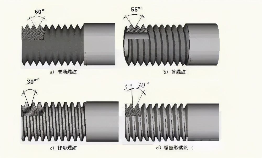 螺纹种巴沙体育注册类(彩图)