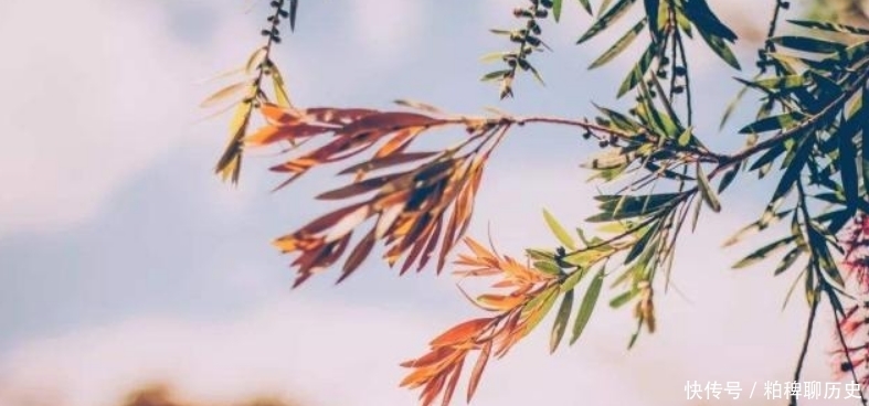 陆游很洒脱的一首诗,把自己跳舞时的情形,描写得活灵活现!