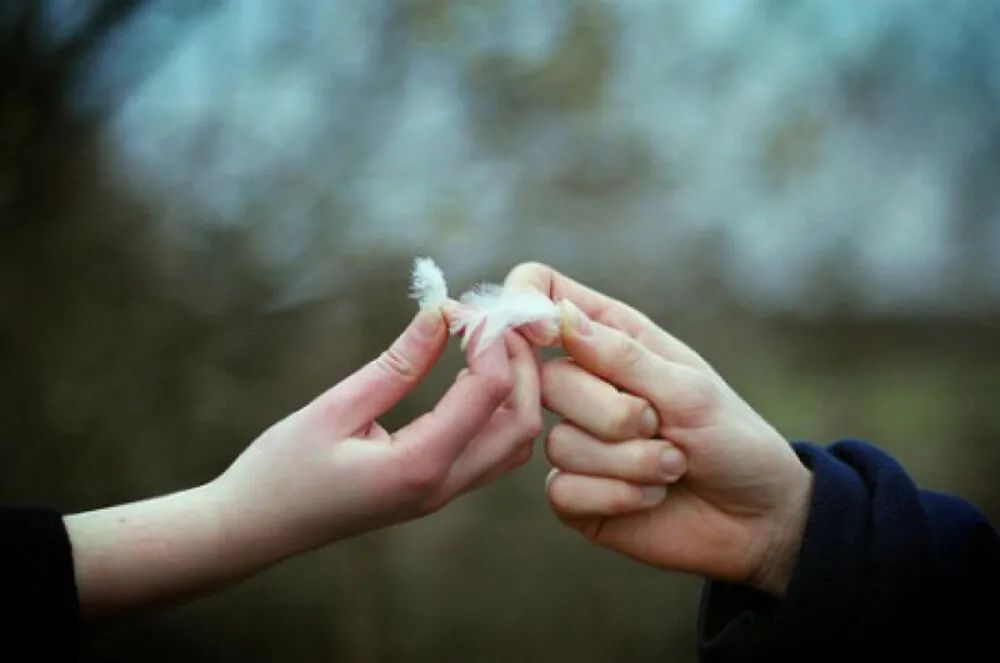 天涯!指尖微凉的记忆,如你留下爱的种子