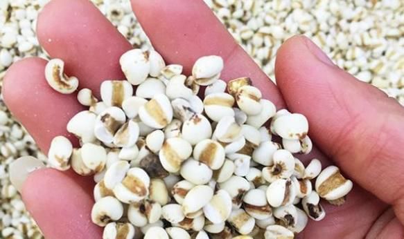 枸杞水中加1物，堅持喝，排毒祛濕，趕走“贅肉”！