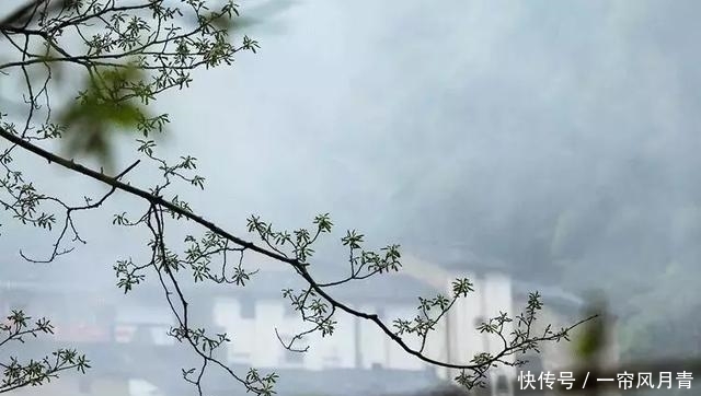 清明为什么要祭祖?这是我听过最好的答案