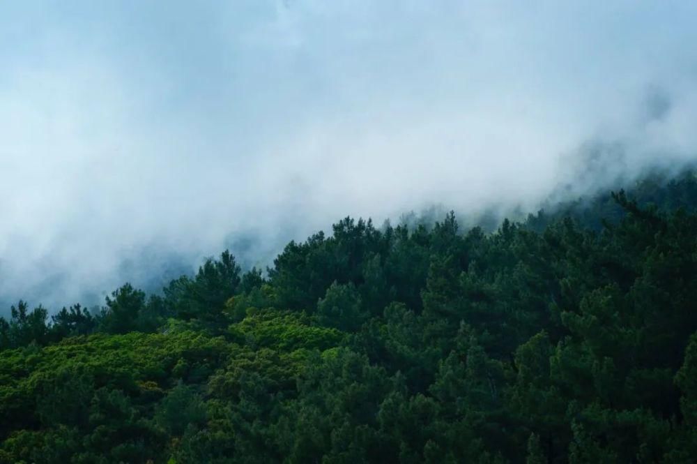  己喜欢|李银河：一生所寻不过爱与自由