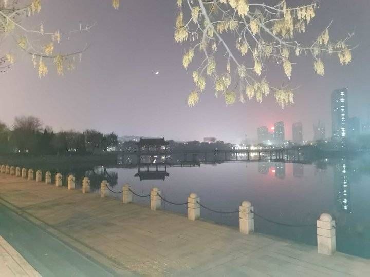 心理|生命与健康｜长寿来自于“心理长期保持平衡”