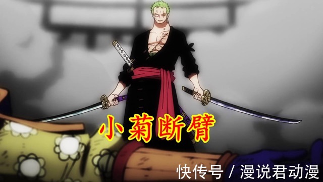 赤鞘九侠|海贼王1010集:九侠全军覆灭,索隆怒秒阿普,乔巴获得抗体