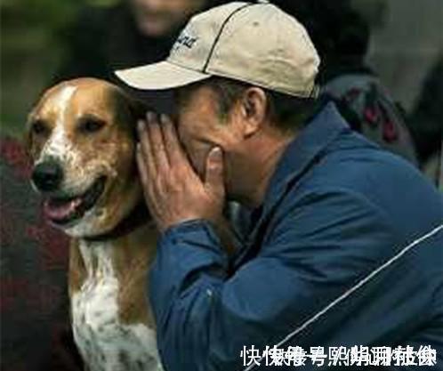 全球仅1国!用600吨垃圾,硬生生建了条高速公路,中国太厉害