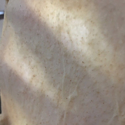 全麦蔓越莓核桃软欧包