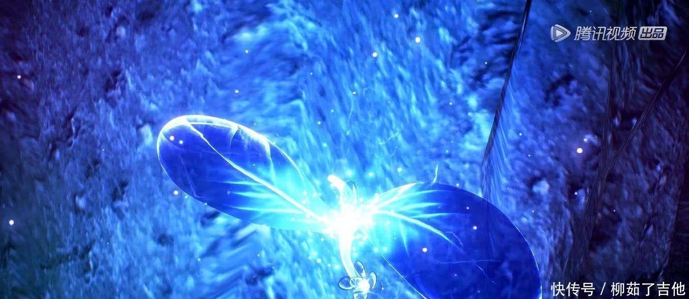 不好意思|《斗罗大陆》魂师一生只能有六块魂骨唐三不好意思,我有八块!