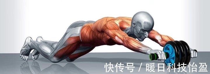 训练|健腹轮作为经典的腹部训练工具,坚持练习能否练出腹肌?