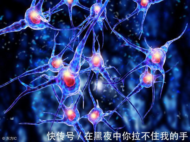 胰岛素|糖尿病人重大福音！挪威发现胰岛细胞可以自己转换身份分泌胰岛素