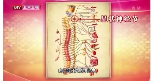 脖子|颈椎病竟能引发心绞痛！脖子造成的心脏病，你了解多少？