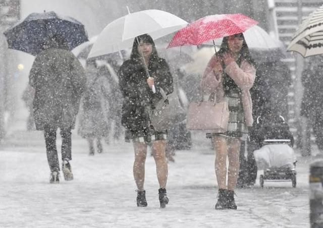 日本人下雪天也穿短裙，御寒能力比欧美人更厉害吗？