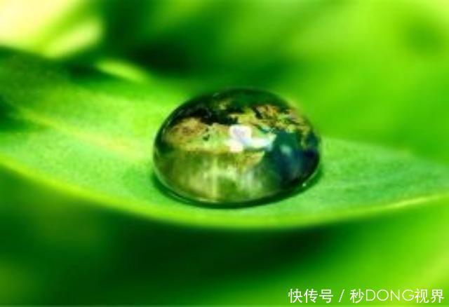 这5种食物不仅营养美味，还能保护视力！你一定得知道！