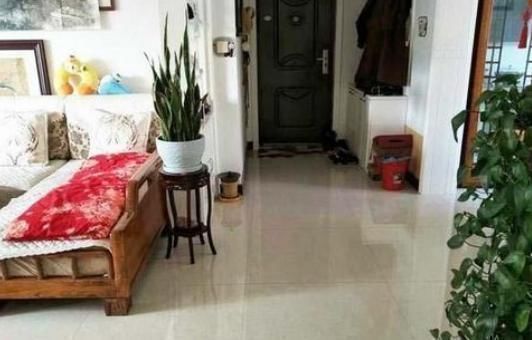 卫生间|母亲进城与儿子同住,半月不到全屋大“变样”,儿媳笑着感谢