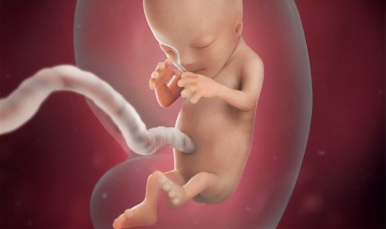 上文中|肚脐眼里连的根本不是肠子!为什么不能乱抠肚脐眼?终于搞明白了