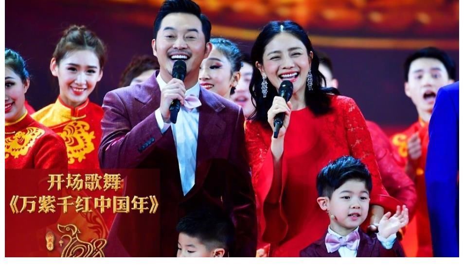 央视综合频道|不对外售票的春晚，为何每次都“座无虚席”？上面坐的都是谁呢？