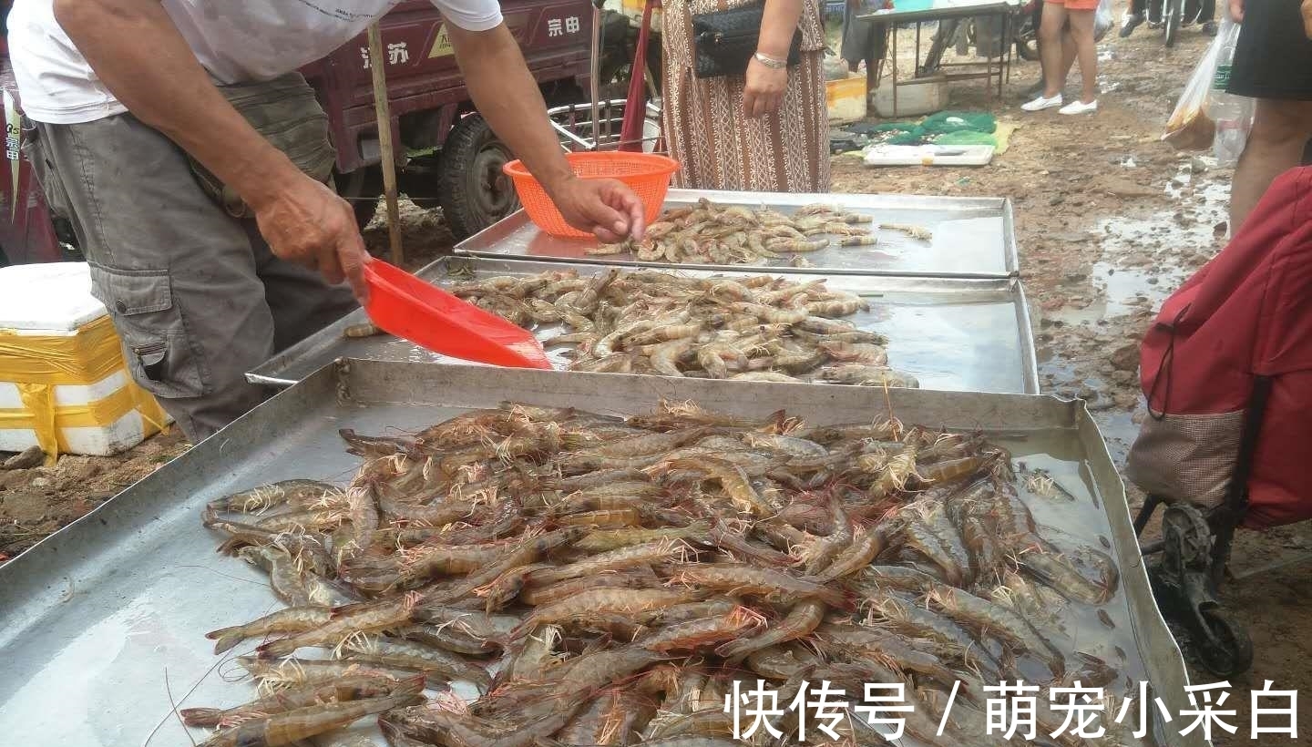 保鲜|大虾保鲜有诀窍:冷冻一年,解冻仍然是鲜活模样,百试百灵