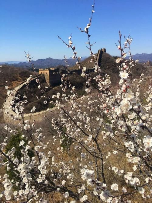 春有煦风冬有雪，登山正是好时节