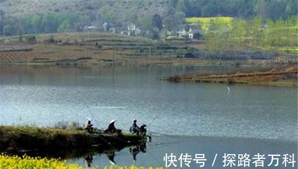 四季钓鲫鱼,有人说春秋两季最好,我却认为是冬季,原因有4点