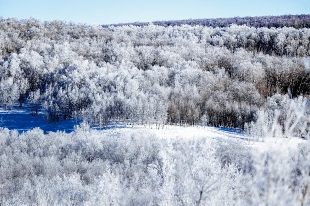 凝霜|凝霜挂雪白狼峰雾凇迎客来