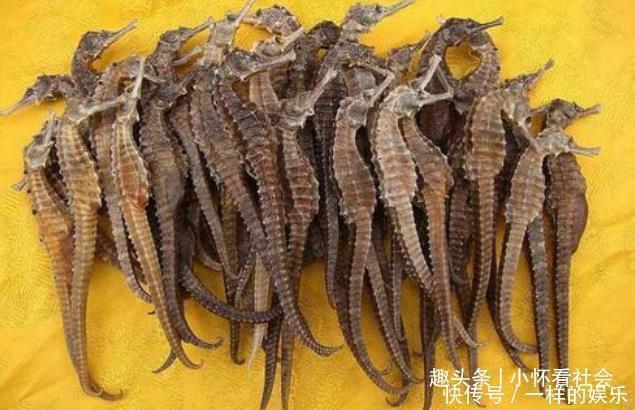 牛黄|世上最出名的五大中药,第一名你绝对没想到