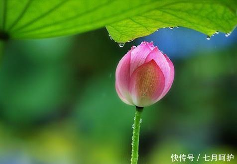 健脾|夏季养生，祛湿为上