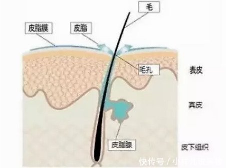  皮肤|不同年龄段一定要用不同的护肤品吗？主要看肤质！