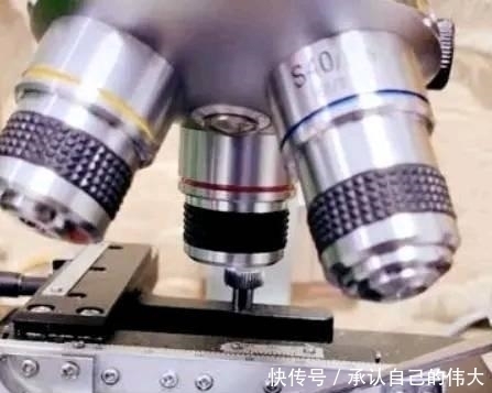 宝宝|母乳放大1000倍是什么样在显微镜下竟然是活的