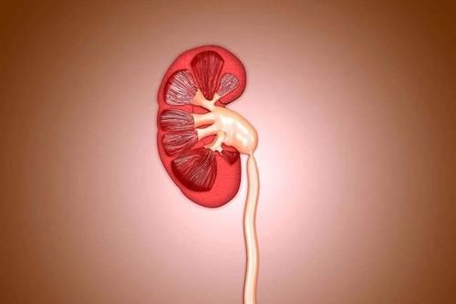 豆腐虽好，但有4类人却不宜吃，容易引起身体不适