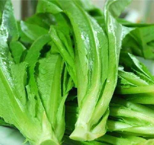 食物|想要身体好，秋天吃美味食物，滋补养颜，促进排毒，身体不显老