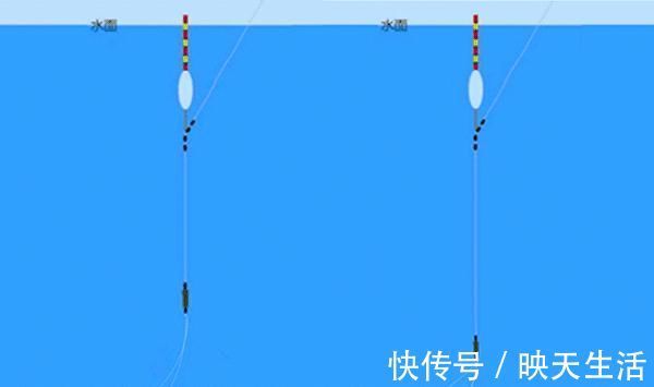 钓鱼不会调漂?可以试试几种方法,简单快速,最适合野钓!