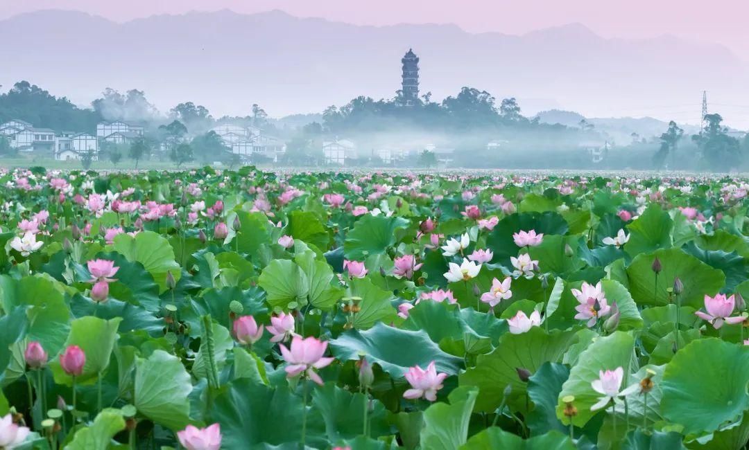 月光 今晚，罕见天文奇观将发生！推荐大家去达州这些地方看“超级月亮”！