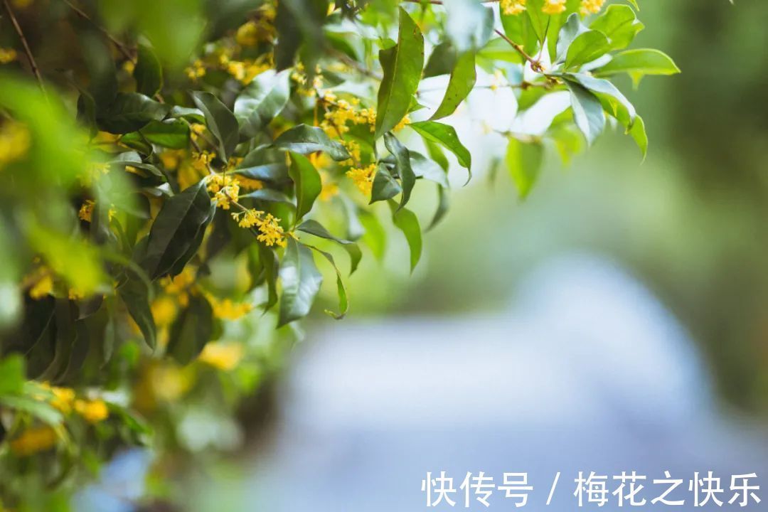 |古人10则小笑话,有理有趣有深意