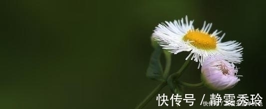 土象星座|文雅秀气的星座，却总是被忽视，在角落中，偷偷积累，不简单