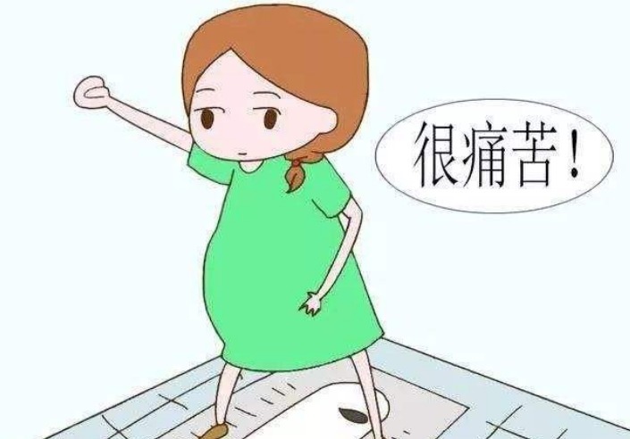 孕妈妈|怀孕时上厕所,孕妈妈牢记“3不要”,胎儿在孕肚里才不会难受