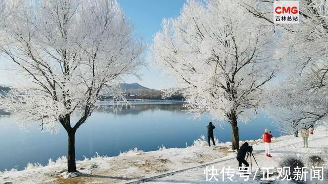 雾凇|吉林绝美雾凇，仿佛童话般冰雪世界