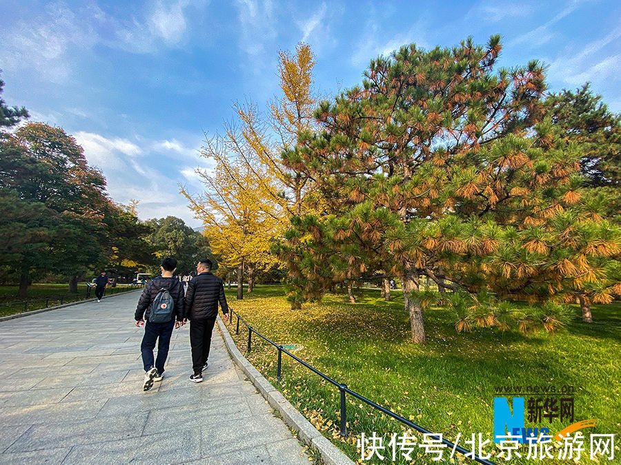 彩叶树种|秋意浓 北京植物园部分彩叶树种进入最佳观赏期