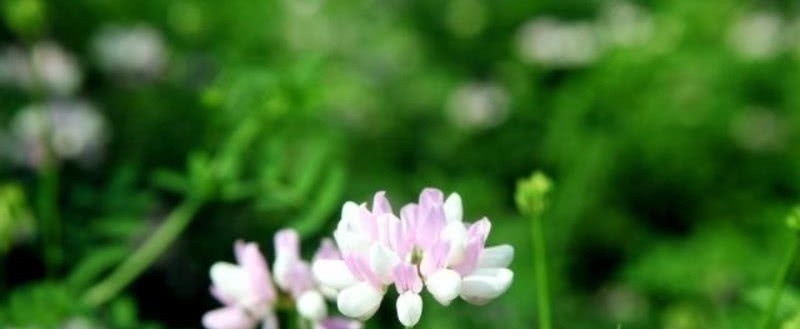 中兴四大$杨万里被严重低估的一首诗,通篇无比的忧愁,读来当真是肝肠寸断