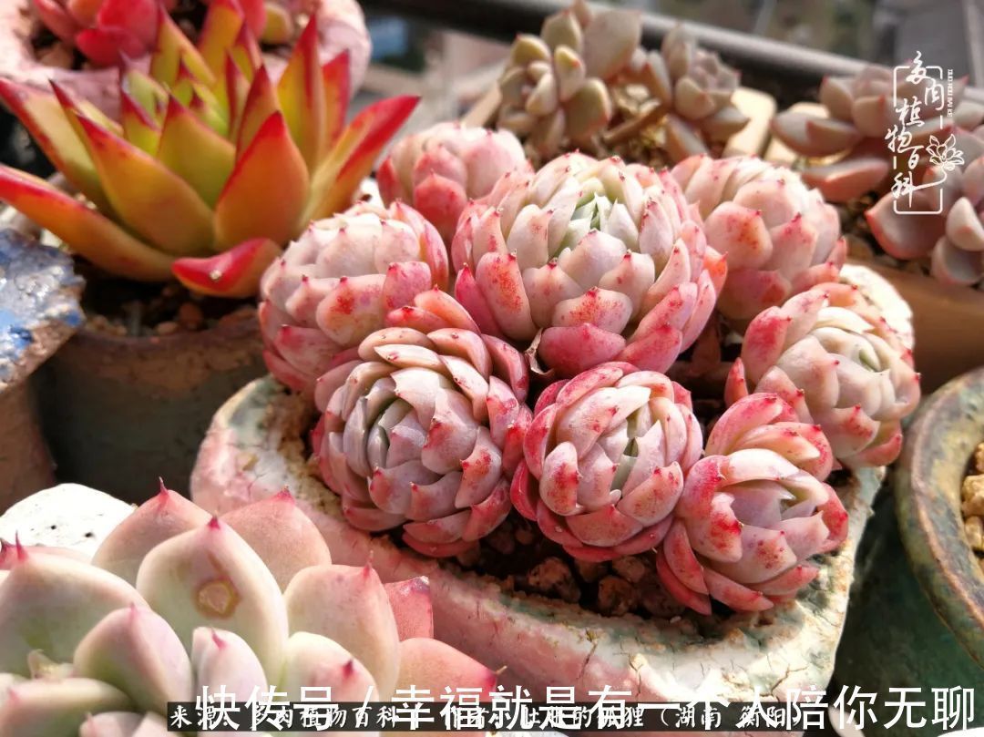 爱这一片缤纷的色彩,因为我们都是好色之徒!