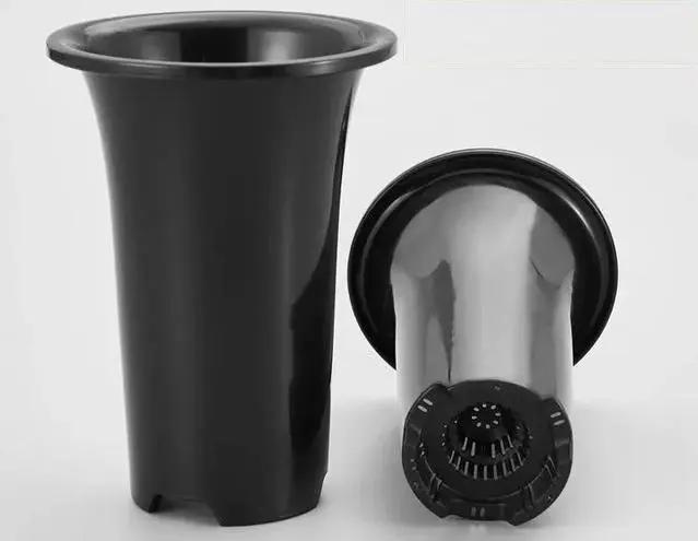 家里养盆虎皮兰，小花盆、挤着养，疯狂开花爆小崽！